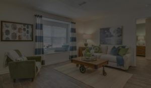 Ginkgo Residential | Living Room